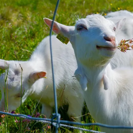 דירה Stylish 4-bedroom With Mountain Views! *