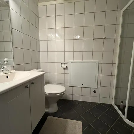 Stylish 4-bedroom With Mountain Views! 公寓